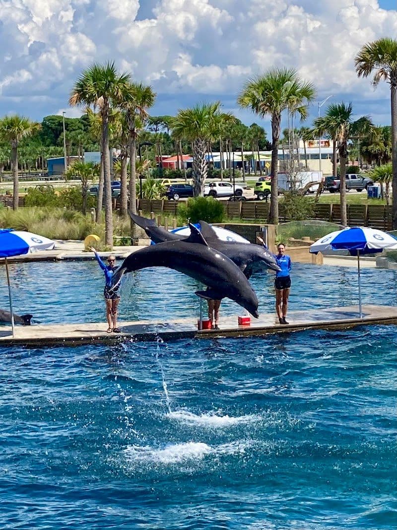Parking near Gulfarium Marine Adventure Park